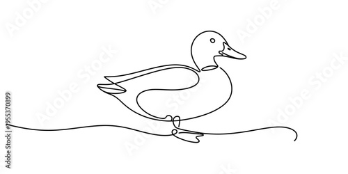 Minimalist continuous line drawing of a duck standing on a simple ground line against white background Vector, illustration