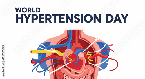 Human heart anatomy with blood vessels in educational illustration for World Hypertension Day in informative style with colorful detailed lighting for medical and healthcare use
