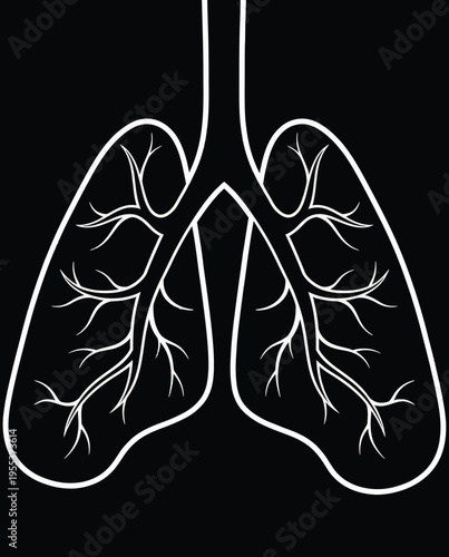 A minimalist white outline illustration of human lungs isolated on a solid black background isolated on white background, Vector, illustration