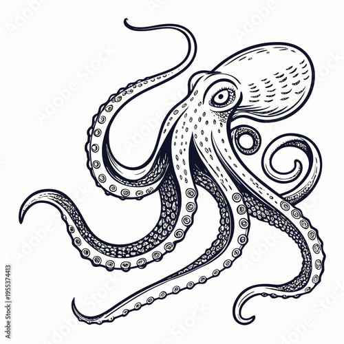 Tentacles of an octopus. Hand drawn vector illustration in engraving technique isolated on white background.