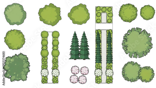 Green plants displayed outdoors in garden landscape design