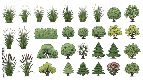 Various green trees and plants are illustrated in a collection.