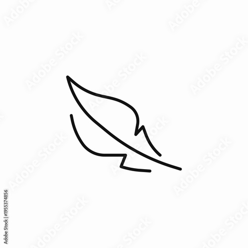 single light feather icon sign vector