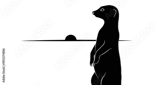 Meerkat standing on hind legs.