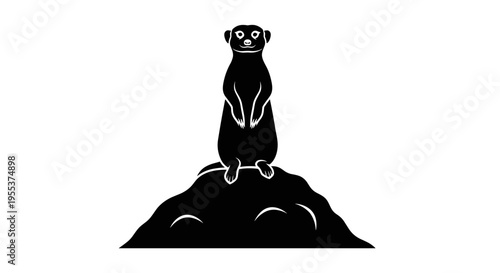 Mongoose standing on a rock.