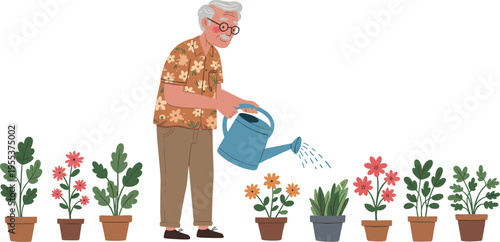Elderly man happily watering potted plants in garden, senior gardener enjoying nature, floral growth and outdoor hobby lifestyle vector illustration.