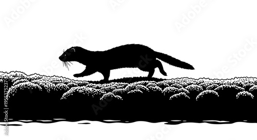 Otter walking on rocky shore.