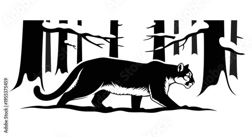 Panther in forest walking quietly.