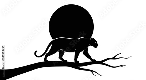 Panther on tree branch silhouette.