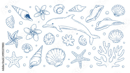 An illustration of various sea creatures and shells arranged on a flat surface