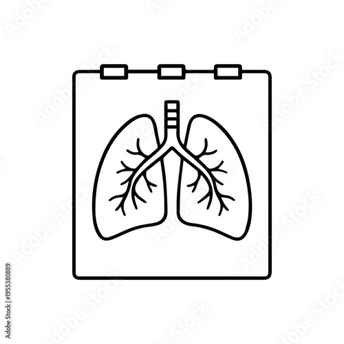 x-ray of the lungs line icon, outline vector image on a white background
Vector line icon on a white background
Health, anatomy