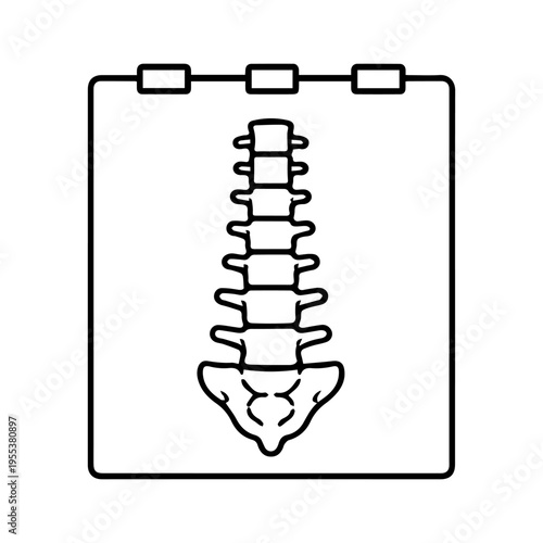 x-ray of the spine line icon, outline vector image
Vector line icon on a white background
Health, anatomy