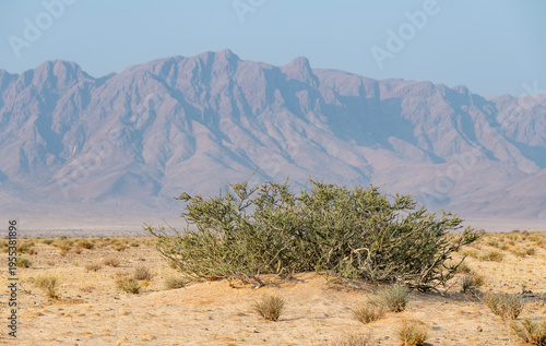 Wallpaper Mural Desert Landscape in the Namib Desert, Namibia, Africa Torontodigital.ca