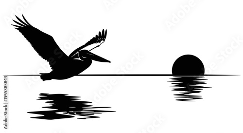 Silhouette of Pelican Flying Over Water.