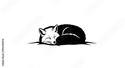 Sleeping Black and White Fox.