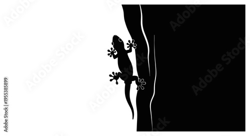 Small lizard on wall surface.
