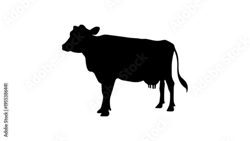 Black cow silhouette standing isolated on white background.