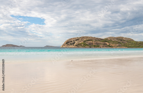 Wallpaper Mural The beach in Lucky Bay, Western Australia. Australia Torontodigital.ca