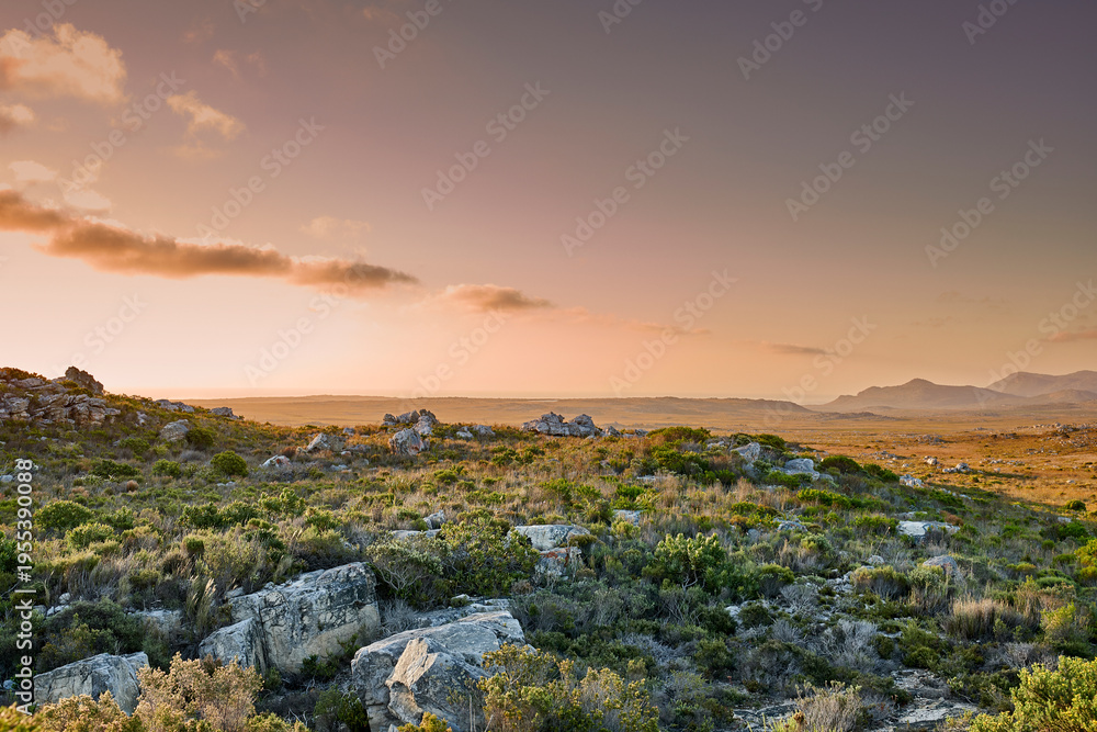 Obraz premium Environment, plants and ecology for nature, view and location with landscape, empty and countryside. Space, eco friendly and conservation for sustainability, mountain and growth in Australia