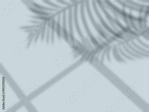 ヤシの葉と窓の影が水色の壁に映る背景素材