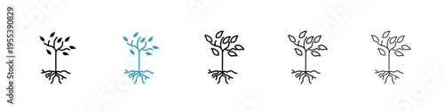 Tree with roots and leaves icon in line art style on white background for graphic and web design.