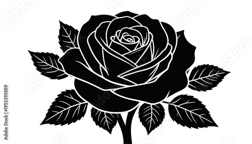 black rose flower illustration with detailed petals and leaves elegant floral silhouette minimal monochrome design isolated on white background