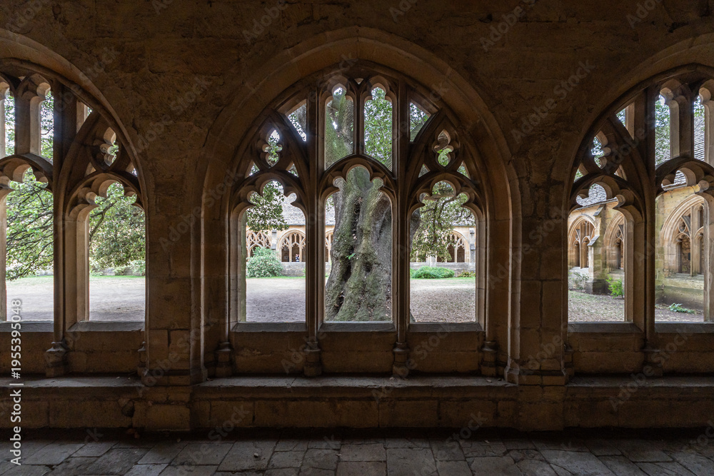 Obraz premium The cloisters of New College in Oxford. A fine example of medieval Gothic architecture and a famous Harry Potter filming location