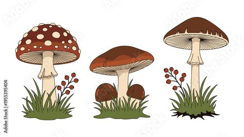 Detailed botanical illustration of different mushroom species growing in grass with berries for nature themed designs.