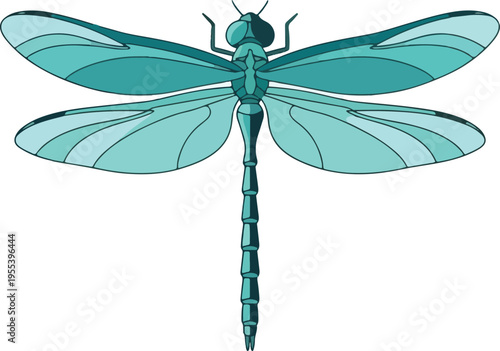 Stylized teal dragonfly illustration viewed from above against a white background