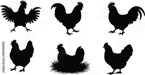 Chicken and rooster silhouette set, farm poultry collection with hen poses, rural animal vector illustration isolated on white background design
