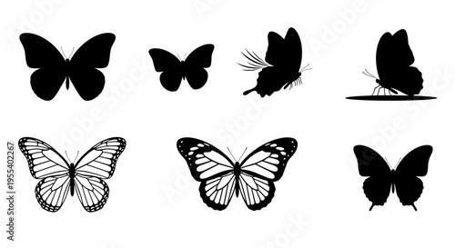 Butterfly silhouettes and monarch style line drawings representing different perspectives and wing structures