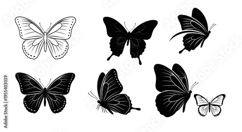 Set of graceful butterfly silhouettes and outline drawings, elegant insect collection for design projects