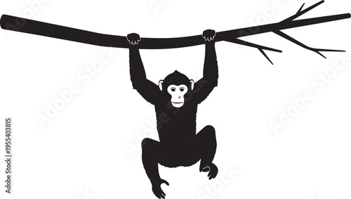 Chimpanzee Hanging From Tree Branch Primate Silhouette Jungle Wildlife Animal Vector Illustration Black Monkey Graphic Design Isolated.