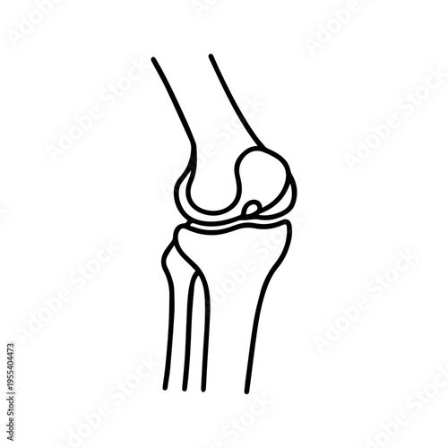 anatomical knee joint line icon, outline vector image
Vector line icon on a white background
Health, anatomy