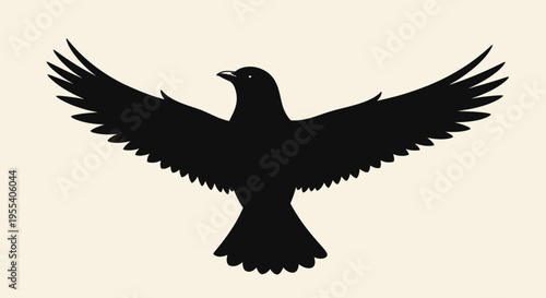 in flight with wings spread against a blue sky