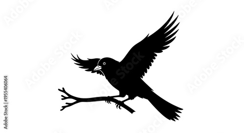 in flight with wings spread against a blue sky