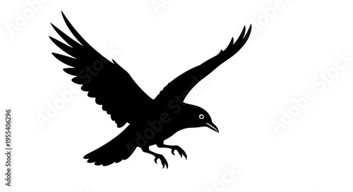 in flight with wings spread against a blue sky