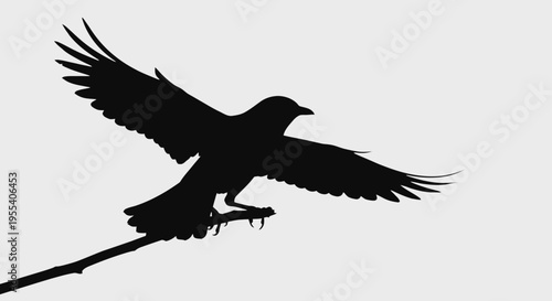 in flight with wings spread against a blue sky