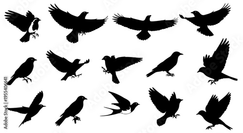 in flight with wings spread against a blue sky