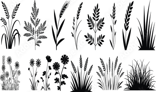 Black silhouettes of diverse plants including grasses, grains, leafy stalks, and flowering varieties, showcasing botanical diversity, nature design, eco concept, and minimal vector illustration