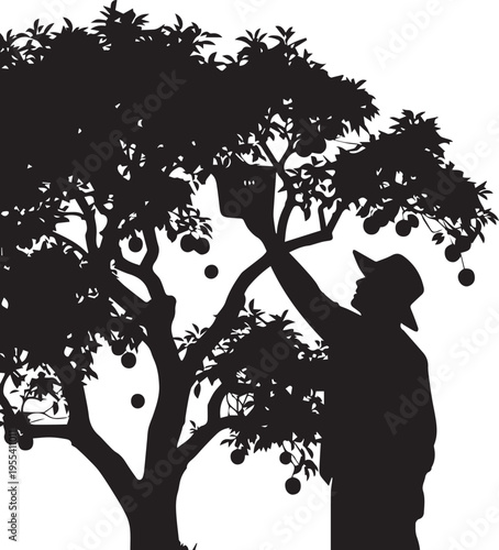 Farmer picking fruit tree silhouette illustration vector line art agriculture garden farm