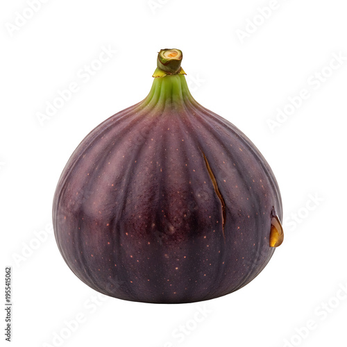 fig isolated on white background
