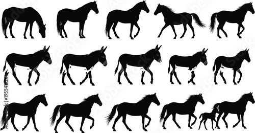 Horse and Donkey Silhouette Vector Set Featuring Stallion, Mare, Foal, and Mule in Various Poses Like Galloping, Walking, Grazing, and Running for Wildlife Design.