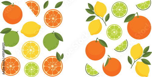 Citrus Fruits Collection with Oranges Lemons Limes and Sliced Pieces Fresh Juicy Vitamin Rich Food Illustration Set