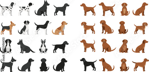 Dog Breeds Silhouette and Cartoon Set with Various Puppy Poses Different Sizes and Colors Domestic Pets Collection for Animal Illustration