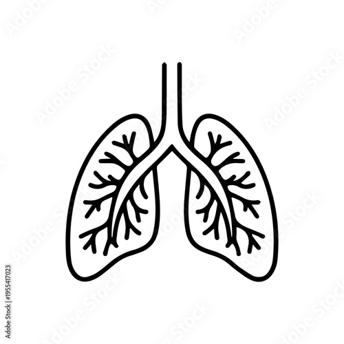 anatomical bronchi line icon, outline vector image
Vector line icon on a white background
Health, anatomy