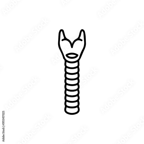 anatomical trachea line icon, outline vector image
Vector line icon on a white background
Health, anatomy