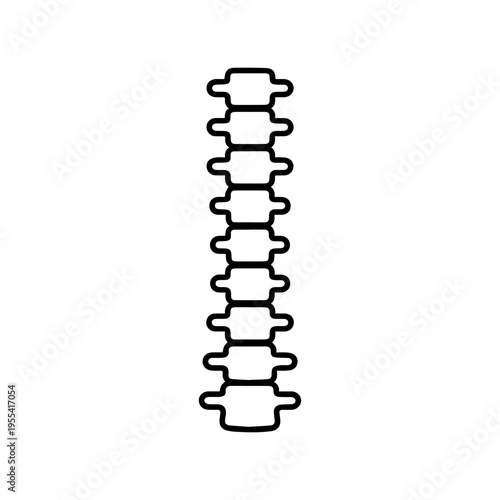 anatomical spine line icon, outline vector image
Vector line icon on a white background
Health, anatomy