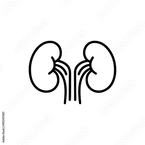 anatomical kidneys line icon, outline vector image
Vector line icon on a white background
Health, anatomy