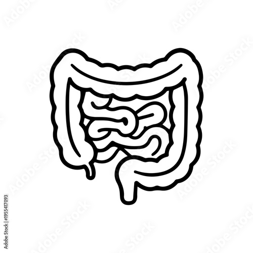 anatomical intestines line icon, outline vector image
Vector line icon on a white background
Health, anatomy